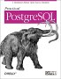 Cover of Practical PostgreSQL
